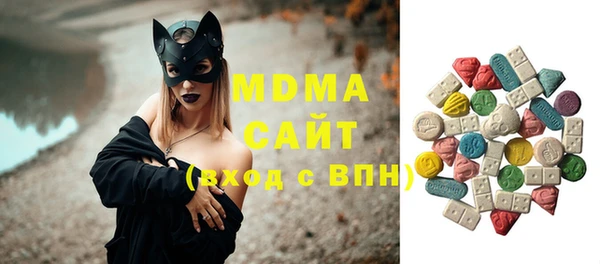 стаф Богородск