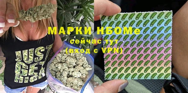 стаф Богородск