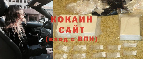 стаф Богородск