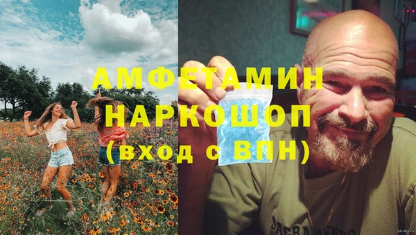 стаф Богородск